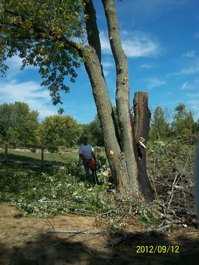 https://www.dundeemill.org/pictures/2012/18 tree service.jpg